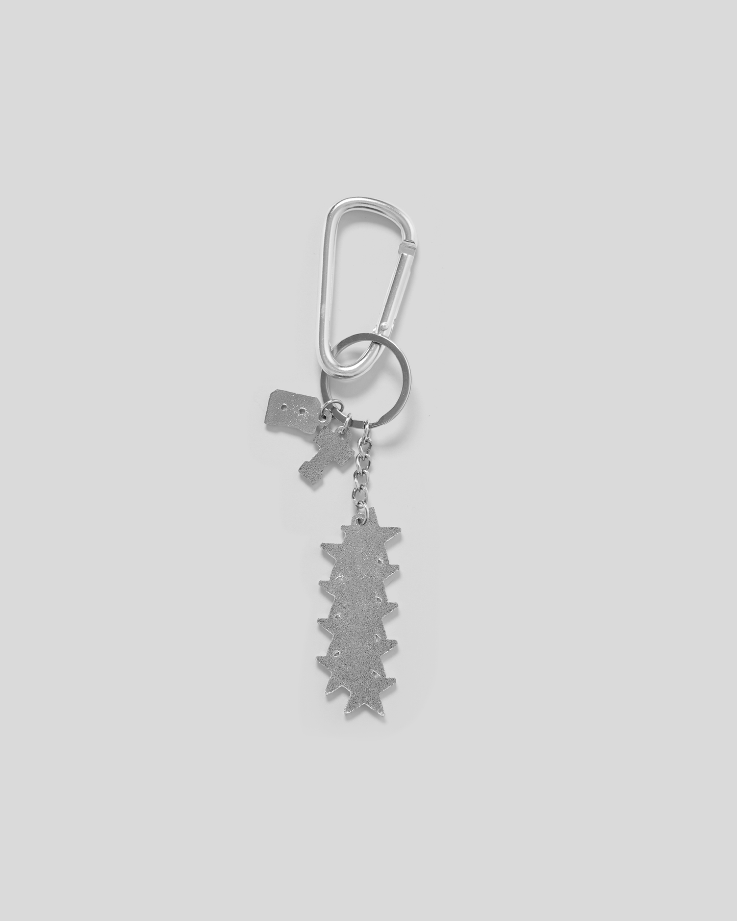 Carabiner Keychain
